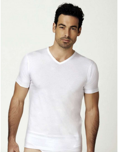 V neck T-shirt men Nottingham Fox