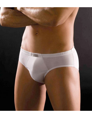 Brief Cagi art 1210 Brief Cagi art 1210