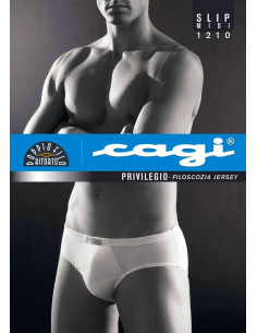 Slip Cagi art 1210 2