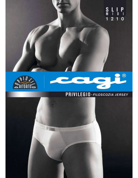 Brief Cagi art 1210 Brief Cagi art 1210