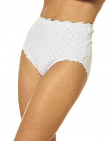 Woman's cotton HIGH briefs Annic 014D ( 6 pieces)