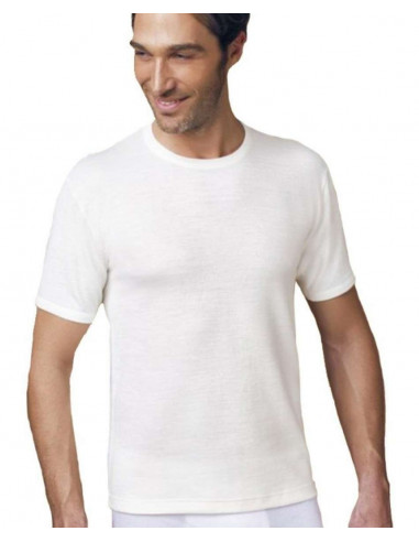 Wool and cotton men's t-shirt Nottingham TM18