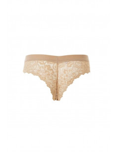 Brazlian briefs Tramonte art. 778 2