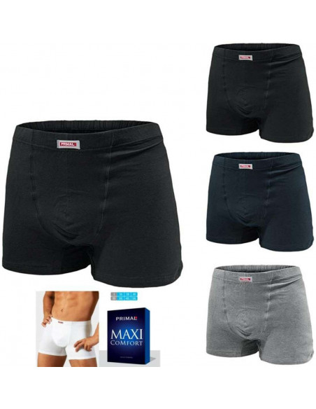 Group 4 boxer Primal art. 3211 Oversizes