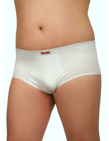 Group 4 briefs Primal art 2211 OVER SIZES