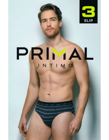 Group 3 stretch cotton men briefs Primal S305