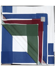 Group of 12 men's cotton handkerchiefs Matticchio Reno 205