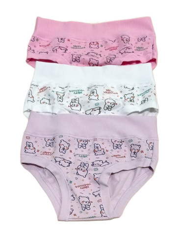 Group 6 stretch cotton girl briefs Alvada B9534