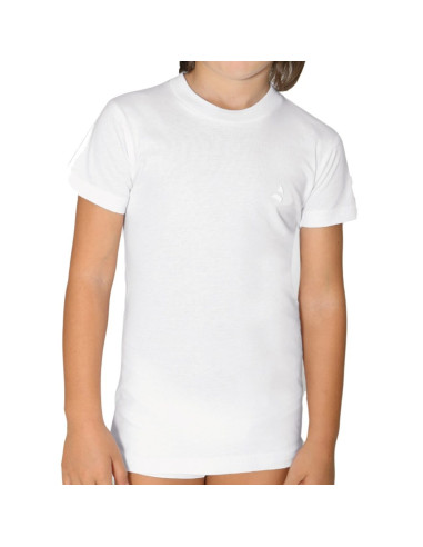 Gruppo 6 t-shirt in cotone Navigare art. 13020