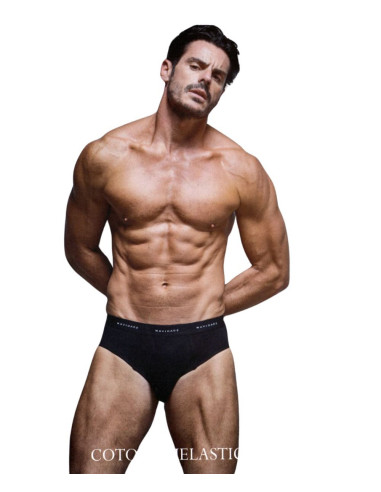 Group 3 stretch cotton briefs Navigare 102 Group 3 stretch cotton briefs Navigare 102