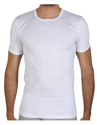 T-shirt uomo in filo di cotone mercerizzato Fragi 1340 Leon