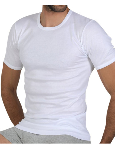 Men mercerized cotton jersey t-shirt Fragi 1340 Leon Men mercerized cotton jersey t-shirt Fragi 1340 Leon