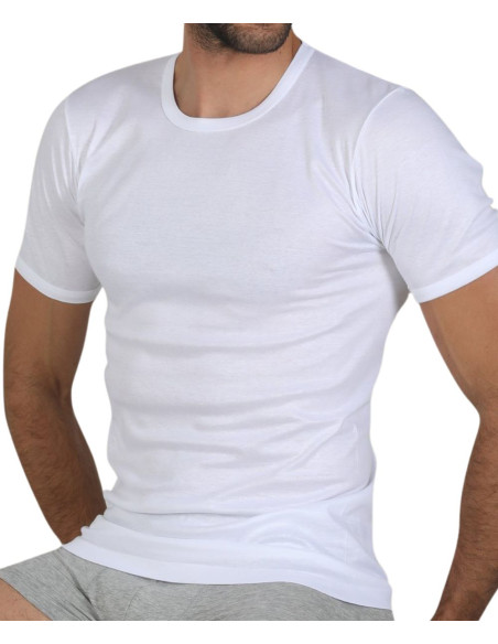 T-shirt uomo in filo di cotone mercerizzato Fragi 1340 Leon