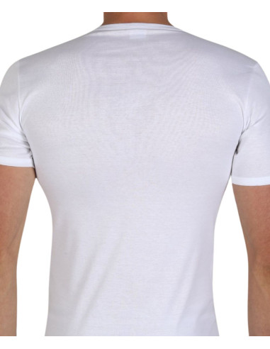 T-shirt uomo in filo di cotone mercerizzato Fragi 1340 Leon