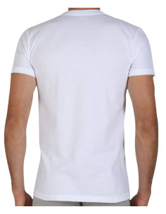 T-shirt uomo girocollo in puro cotone Fragi America 2