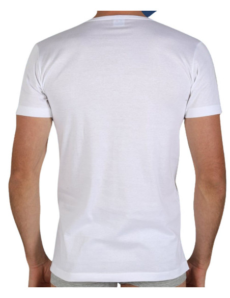 Men's V neck mercerized cotton jersey t-shirt Fragi Pierre Men's V neck mercerized cotton jersey t-shirt Fragi Pierre