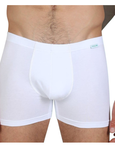 Stretch cotton men boxer Fragi 151 Stretch cotton men boxer Fragi 151