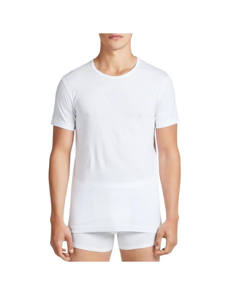 Group 2 men's cotton jersey round neck t-shirt Ragno 601417