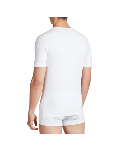 Group 2 men's stretch cotton round neck t-shirt Ragno 611477