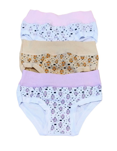 Gruppo 6 slip bambina in cotone elasticizzato Alvada B9710