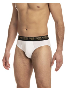 Group of 2 men's stretch cotton briefs Cavalli Class QXO01D