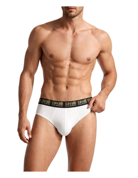 Gruppo 2 slip uomo in cotone elasticizzato Cavalli Class QXO01D