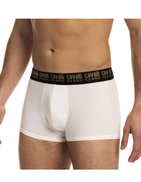 Group of 2 men's stretch cotton boxer Cavalli Class QXO01F