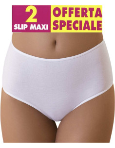 Gruppo 2 slip donna alti in cotone elasticizzato Garda 3904