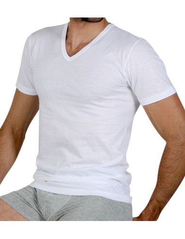 T-shirt uomo a V in cotone filo di Scozia Fragi 2540