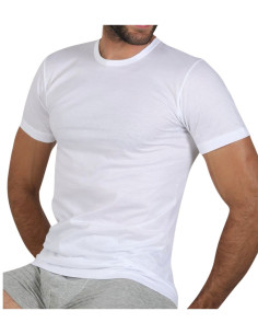 T-shirt uomo girocollo in cotone filo di Scozia Fragi 2340 2
