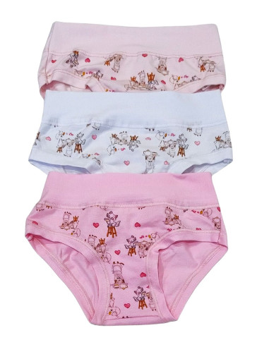 Group 6 stretch cotton girl briefs Emy B3022