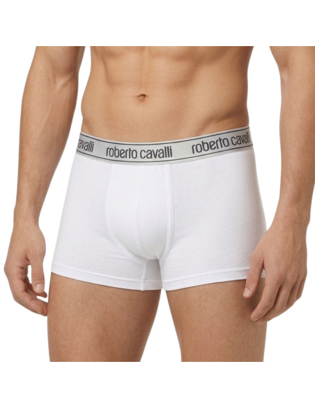 Gruppo 3 boxer uomo in cotone elasticizzato Roberto Cavalli WSO00H