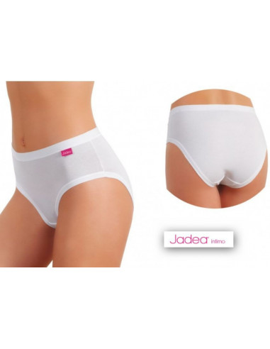 Group 3 MIDI briefs Jadea art 786