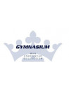 Gymnasium