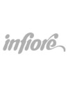 Infiore