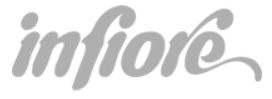Infiore