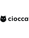 Ciocca